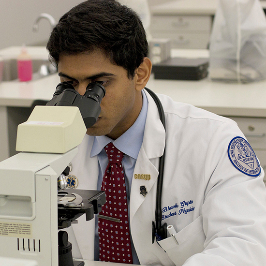 doctoral student looking at microscope